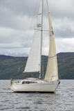 stardust 1032c ss19 mon rmc2991w